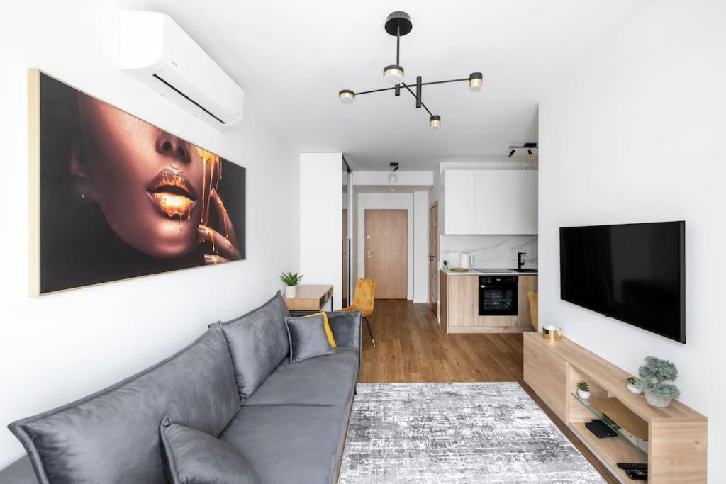 Apartment Zalia Kopa Paupys Vilnius
