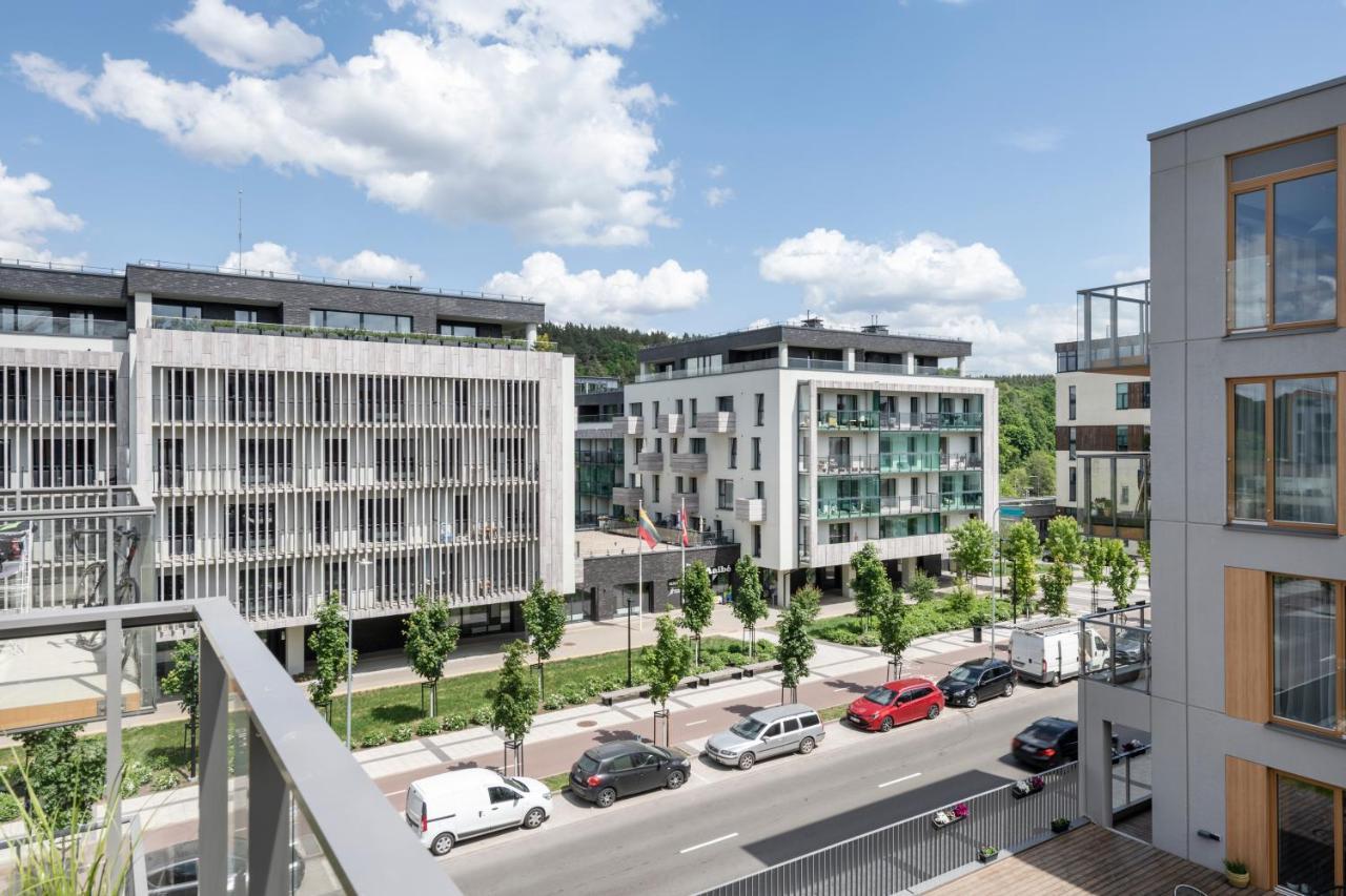 Zalia Kopa Paupys Appartement